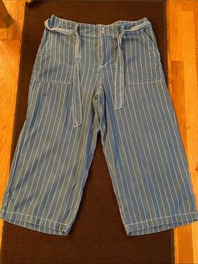 Seven7 Light Blue Pinstripe Crop Wide-Leg Pants
